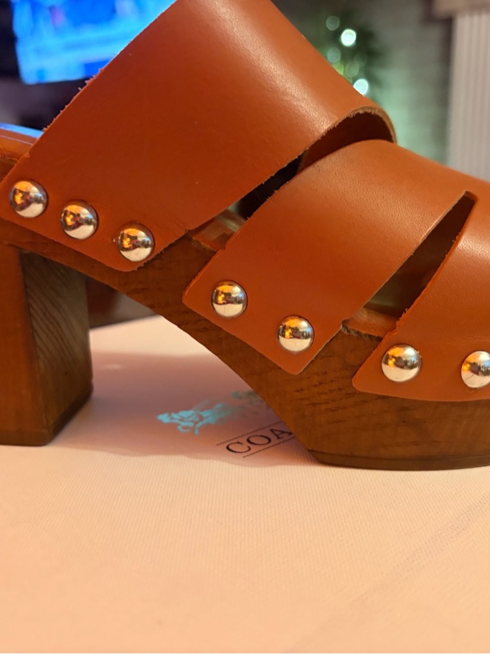 Brown Leather Studded Clog Sandals - Women